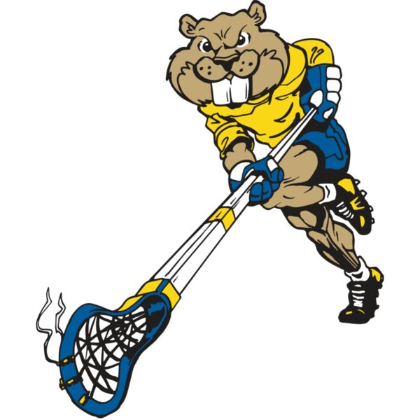 AR8 BEAVER 02 RQC Thumbnail